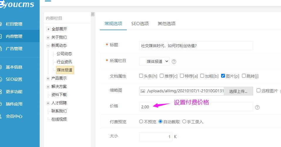文章付费阅读(免登录注册) 易优cms插件 第4张-青柠资源网 文章付费阅读(免登录注册) 易优cms插件 第4张
