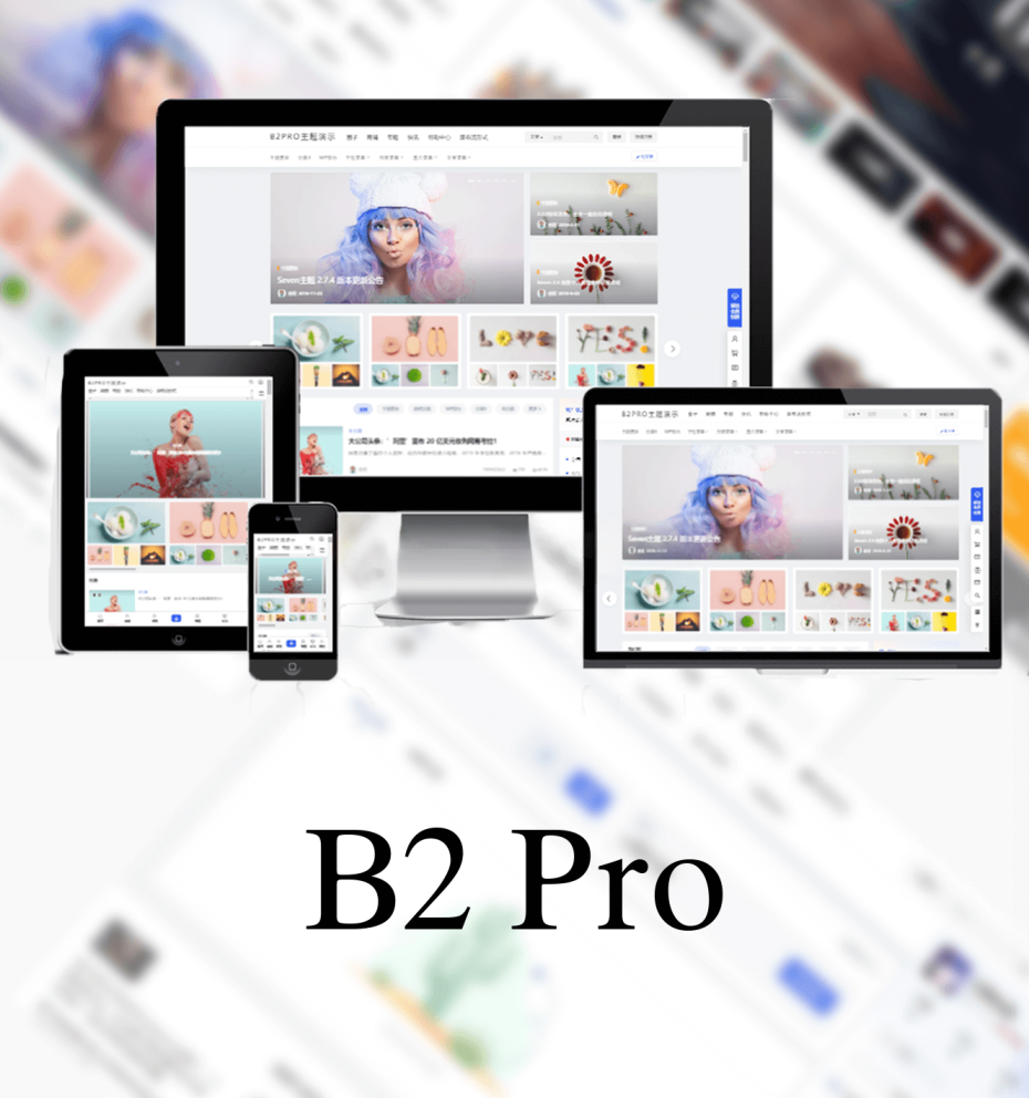 多功能博客模板B2 PRO – v4.2.6 免授权修复版wordpress主题 WordPress主题 第2张-青柠资源网