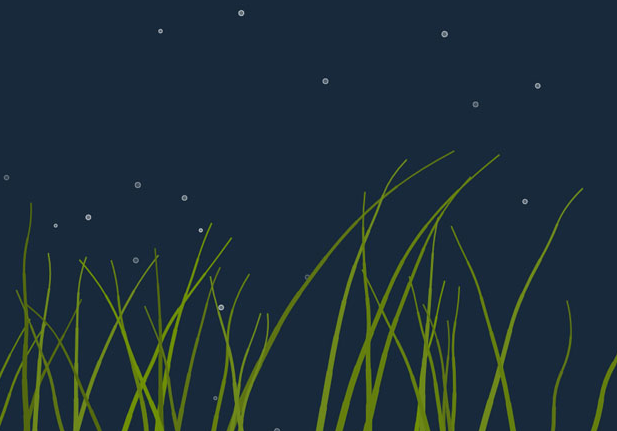 html5 canvas海底水草动画特效 网页特效 第1张-青柠资源网 html5 canvas海底水草动画特效 网页特效 第1张